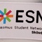 ESN Patch (small)
